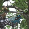 Makita DUC122Z 18V Li-ion LXT akkus láncfűrész 11.5cm 1/4 1.3mm Z (alapgép - akku és töltő nélkül)