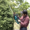 Makita UH5580 OP 670W elektromos sövényvágó, 55 cm, 4.2 kg