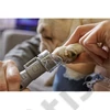 Dremel EZ SpeedClic: körömreszelő tárcsák kisállatoknak (SD60-PGK)