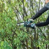 Makita UC029GZ 40Vmax XGT Li-Ion BL 570 W 15 cm láncfűrész 0,325