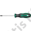 Fortis Csavarhúzó Torx T27x100mm