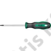 Fortis Csavarhúzó Torx T20x100mm