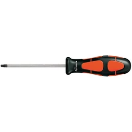 Format Torx csavarhúzó TX7