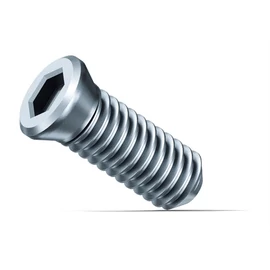 Fein SX lapkarögzítő csavar 10db