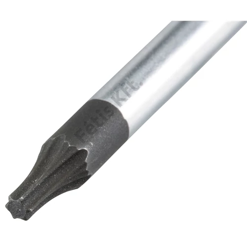 Makita csavarhúzó T10x100mm
