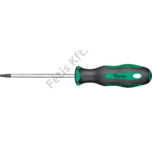 Fortis Csavarhúzó Torx T20x100mm